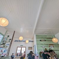 Inside at Little Curious Bagels in Whanganui
