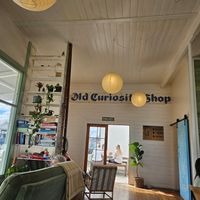  at Little Curious Bagels in Whanganui