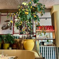 The cosy interior   at Vegitalian in Amsterdam