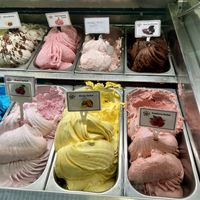 Vegan sorbets & dairy free ice cream options   at Miele's Gelateria - Inverness in Inverness