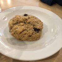 Blueberry scone   at From Seed to Sprout in Avon By The Sea
