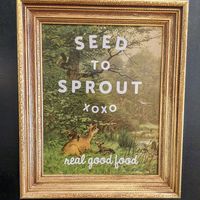  at From Seed to Sprout in Avon By The Sea