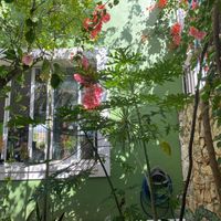  at Yerbabuena del Sisal in Valladolid