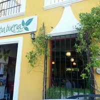 ⛩️♦️💚♦️⛩️ at Yerbabuena del Sisal in Valladolid