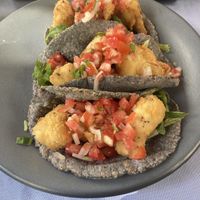   at Yerbabuena del Sisal in Valladolid