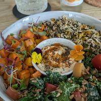 The harvest plate at Yeotown - Queen's Gardens in West London