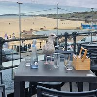 Menace 🤣 at The Fig Bar & Grill in Great Yarmouth