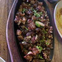   at Veganize Bohol in Tagbilaran