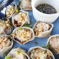 Vegan dumplings at Veganize Bohol in Tagbilaran