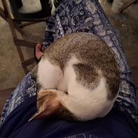  at Veganize Bohol in Tagbilaran