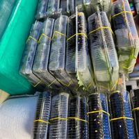   at Kwangjang Market in Seoul