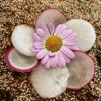   at Nutmeg Indian street kitchen in Bristol