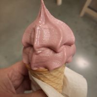 Vegan aardbeienijs at IKEA in Hengelo