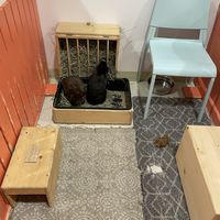   at The Bunny Cafe in Vancouver