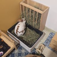  at The Bunny Cafe in Vancouver