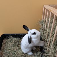 Sidney at The Bunny Cafe in Vancouver