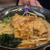 Tonkatsu Black Ramen (tofu) at The Kazoku in Longmont