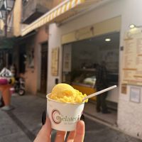 Vegan passion sorbet   at La Gelateria de Saint-Florent in Corsica