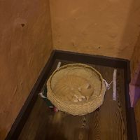   at Casa Bonita in Lakewood