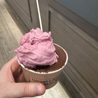 Dark chocolate and berries  at Gelateria La Romana  in Bucharest