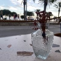   at Vitale in Sitges