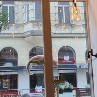  at Barista Cats in Vienna