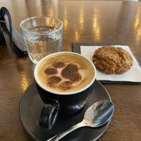   at Barista Cats in Vienna