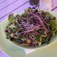 Gemischter Salat mit Kresse at Artha in Porec