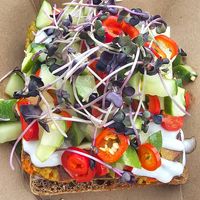 Flat 2 at Planted - Pop Up in Bloomington