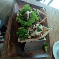Falafel Pita at La Senda Restaurante in Playa Del Carmen