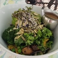 The Amazona Bowl on quinoa - DELICIOUS at La Senda Restaurante in Playa Del Carmen