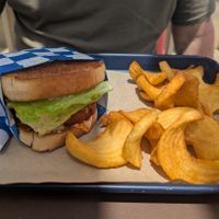 Buffalo chicken sandwich and sidewinder fries at Vice Burger  in Fort Worth