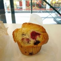 blueberry and raspberry muffin at Terri - Financial District in New York City