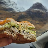 Everthing bagel in vegan at Kettle Black in Paisley