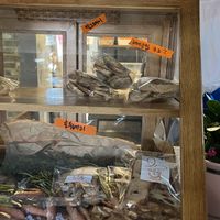   at The Rabbit - 더래빗  in Seoul