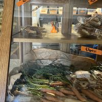   at The Rabbit - 더래빗  in Seoul