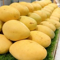 Fresh mangoes   at Sook Sook  in Chiang Mai