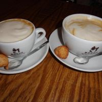 Vegan cappuccino and latte at DopHert in Amsterdam