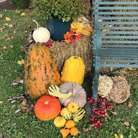 Fall Decorations   at Peter Allen Inn & Event Center in Kinsman