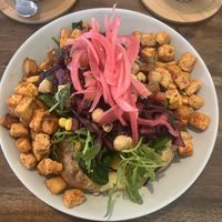   at Kartoffelkogge in Rostock