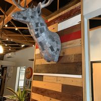   at Coffee Fox in Savannah