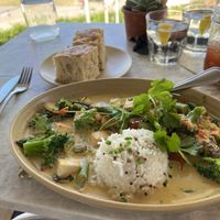 Coconut curry: summer vegetables, coconut curry sauce, quinoa rice  at Malibu Farm in San Diego