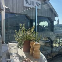   at Malibu Farm in San Diego