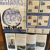 Flyer on ending dolphin shows  at Kyonooyatsu to Coffee in Hadano