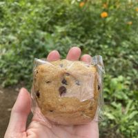 Vegan Chocolate chip biscuit  at Kyonooyatsu to Coffee in Hadano