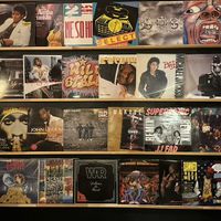   at The Hummus Connection  in Nuremberg