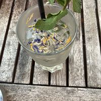   at The Hummus Connection  in Nuremberg