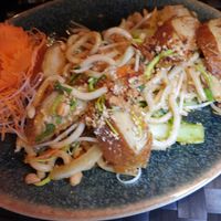 Udon Xao mit Fake Duck at An Lac Chay in Landshut