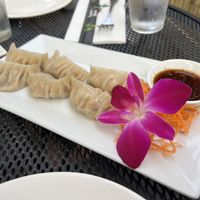 Veggie dumplings   at Bamboo House in Frenchtown