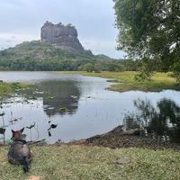 The view of the famous Sigiriya Rock from the restaurant at Soul Food  in Sigiriya